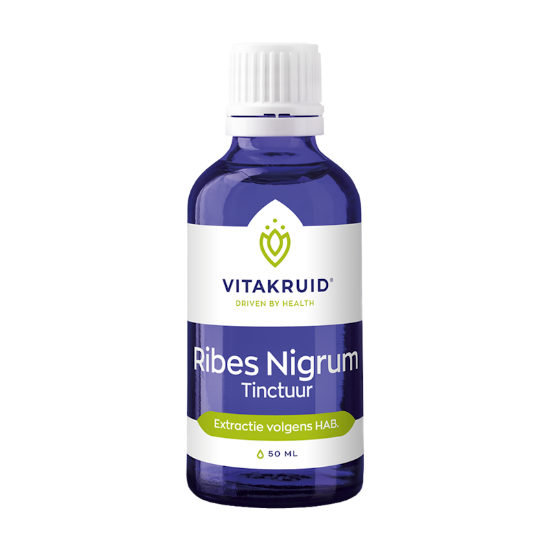 Tintura de Groselheiro Negro (Ribes Nigrum) - 50ml